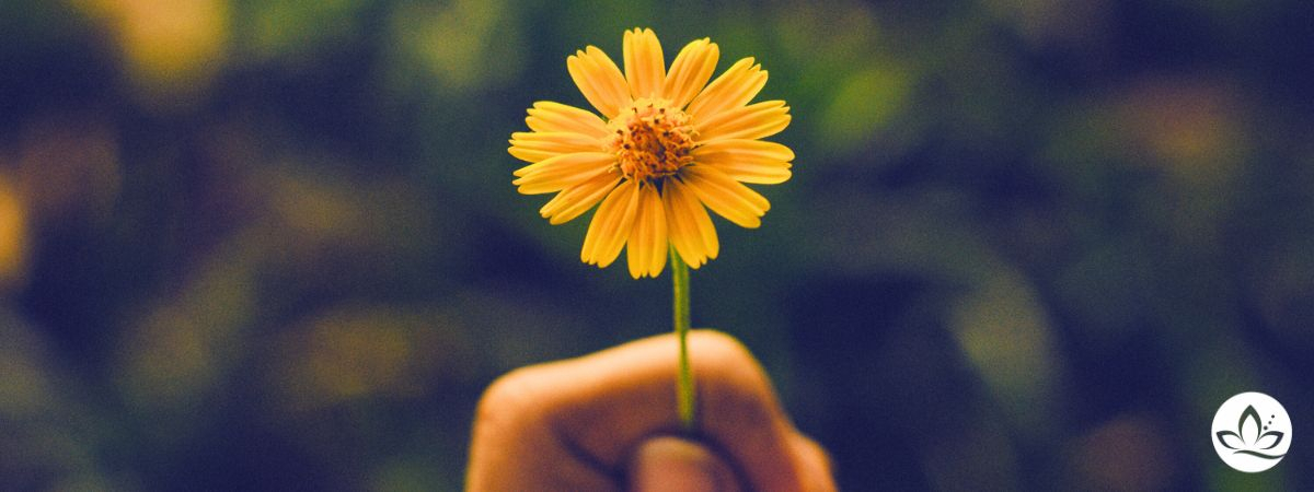 Du wirst gebraucht - schau nicht, was andere tun.