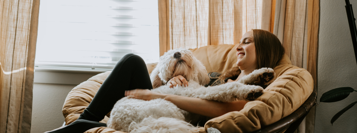 Hund kuschelt auf Sofa