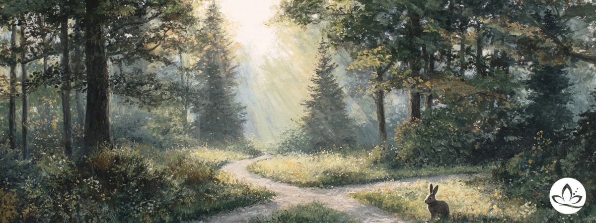 Weggabelung im Wald
